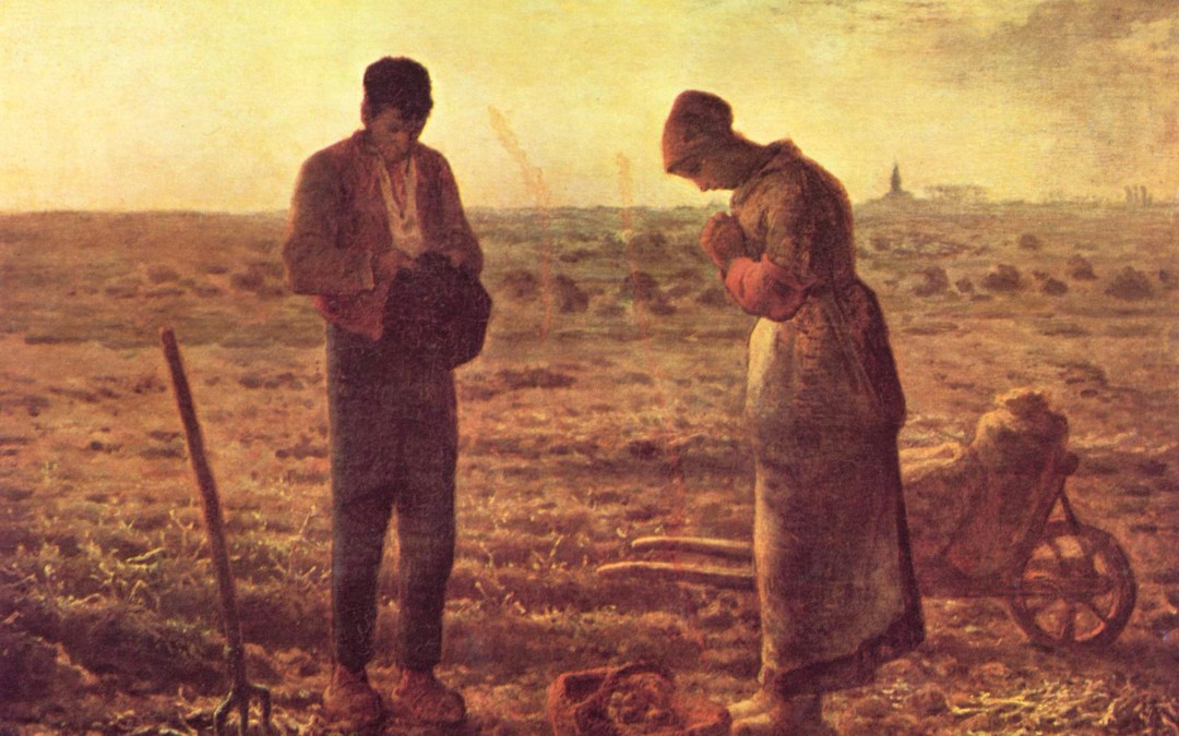Il seme del futuro
